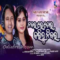 Naja Ra Re Tora Karilu Nijara